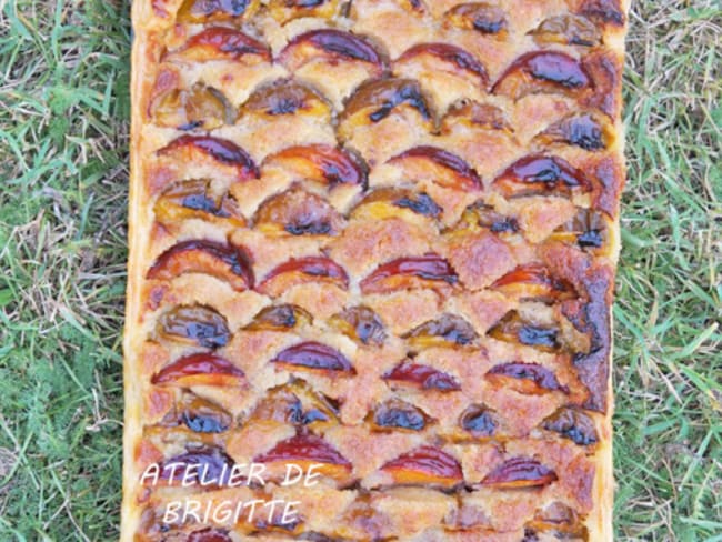 Tarte aux deux prunes