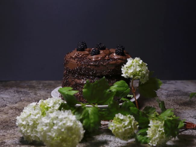 Layer cake au chocolat et aux mûres