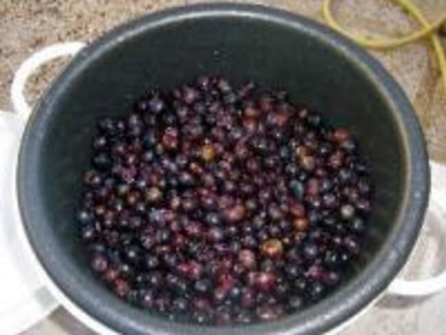 Confiture de Raisins Noirs et Pommes