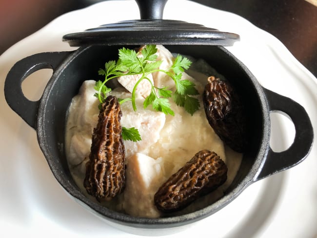 Fricassée de ris de veau aux morilles sauce au Noilly