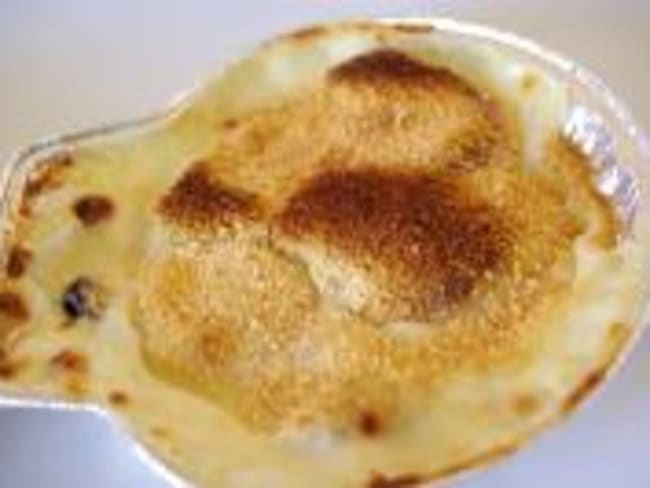 Coquilles de Crustacés