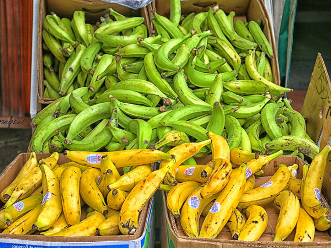 Tout savoir sur les banane plantain : description, origine, vitamines...