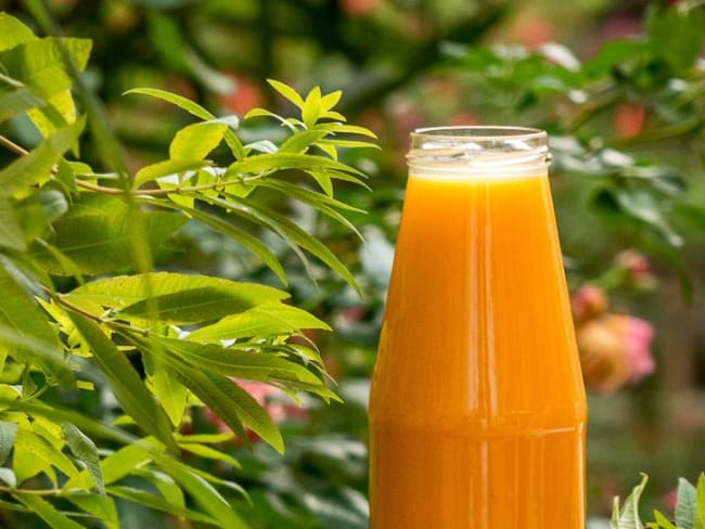 Soupe vegan butternut rôtie au sirop d’érable et lait de coco