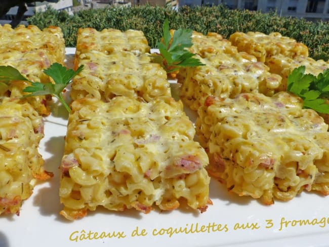 Gâteaux de coquillettes aux 3 fromages