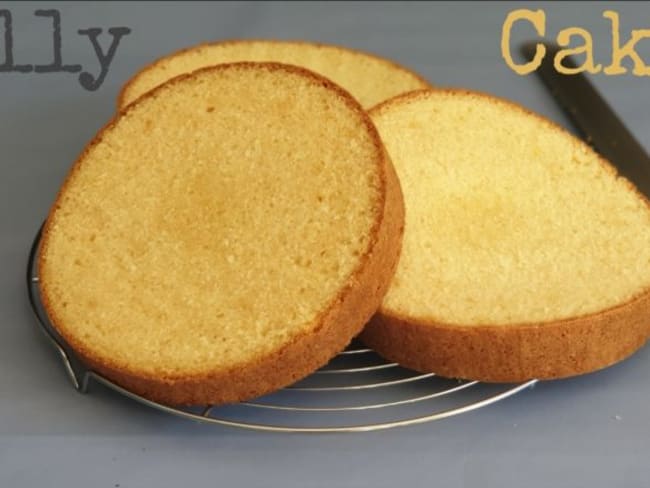 Molly Cake idéal pour le cake design