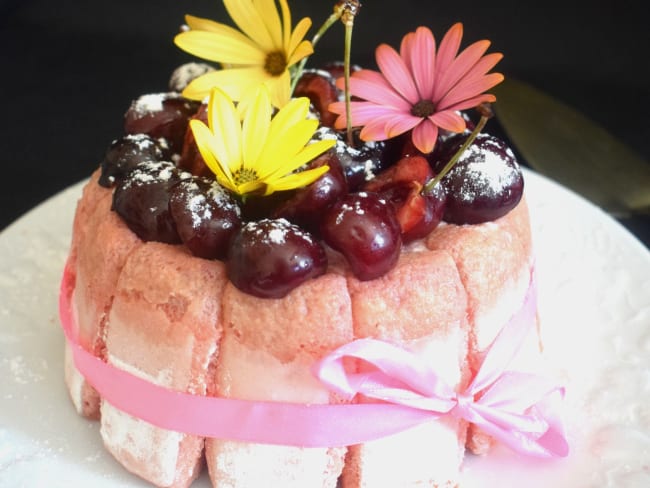 Charlotte aux biscuits roses et aux cerises