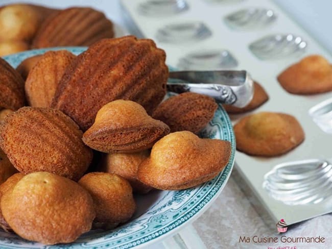 Madeleines Vanillées