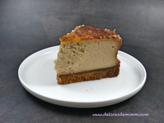 Cheesecake au praliné et aux spéculoos