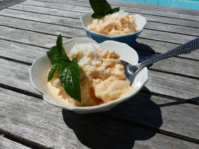 Yaourt glacé maison au melon et à la noix de coco