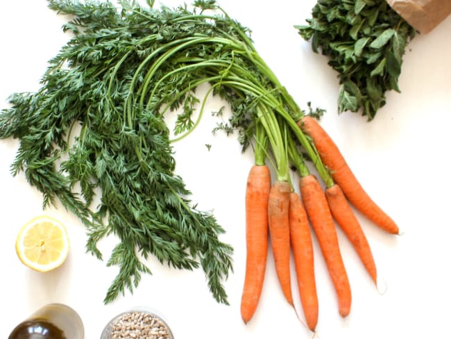 Pesto de fanes de carottes et menthe