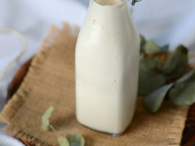 Lait ou crème de noix de cajou maison