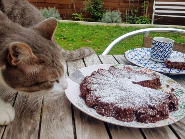 Gâteau au chocolat sans gluten à 50 calories la part