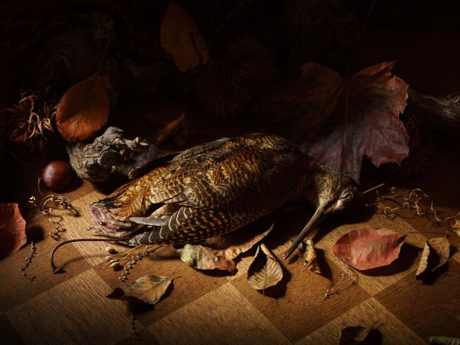 Bécasse des dieux cuite sur une tresse d'ail fumé d'Arleux, jus d'oiseau au long bec