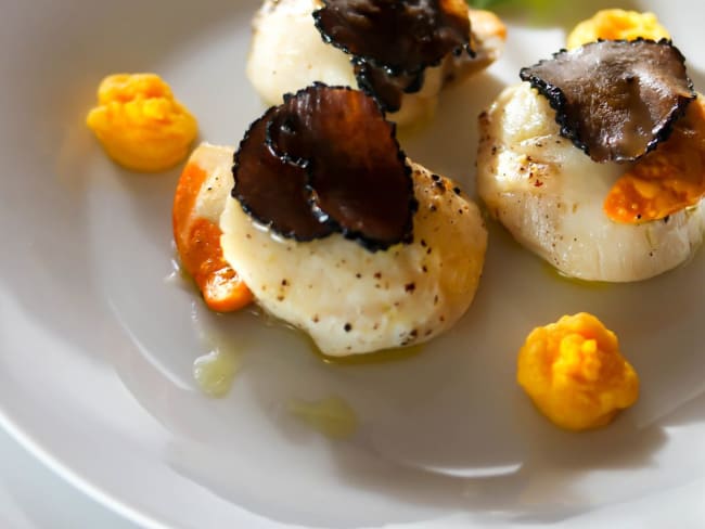 Coquilles Saint Jacques snackées, truffe noire et mousseline de carottes