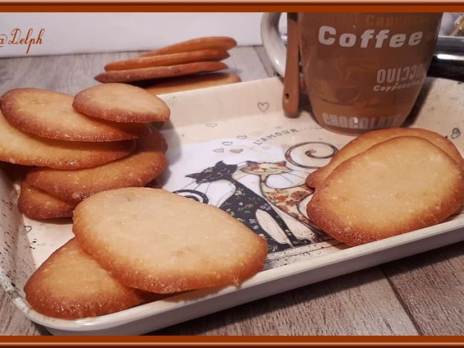 Langues de chat