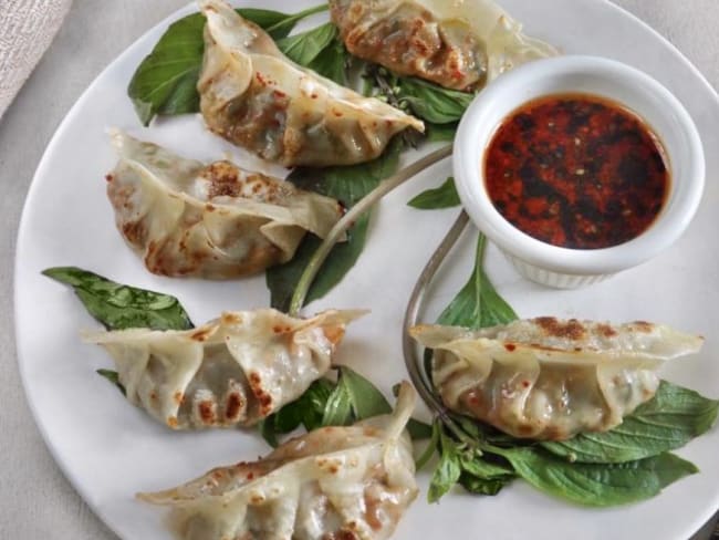 Gyozas végétariens aux légumes et à la protéine végétale texturée