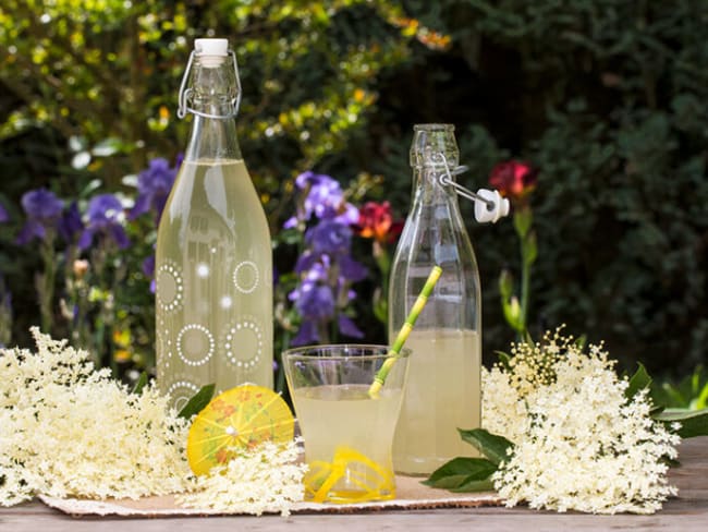 Limonade aux fleurs de sureau