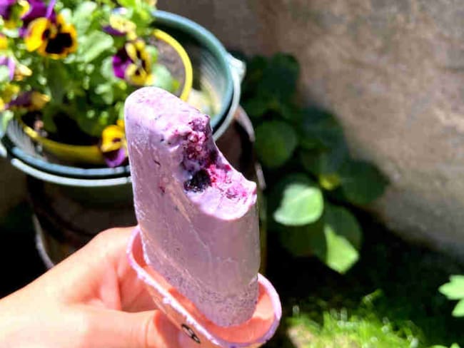 Glace à la confiture de myrtilles healthy