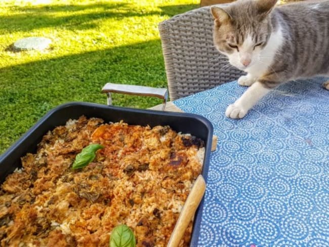 Gâteau aux navets et au veau