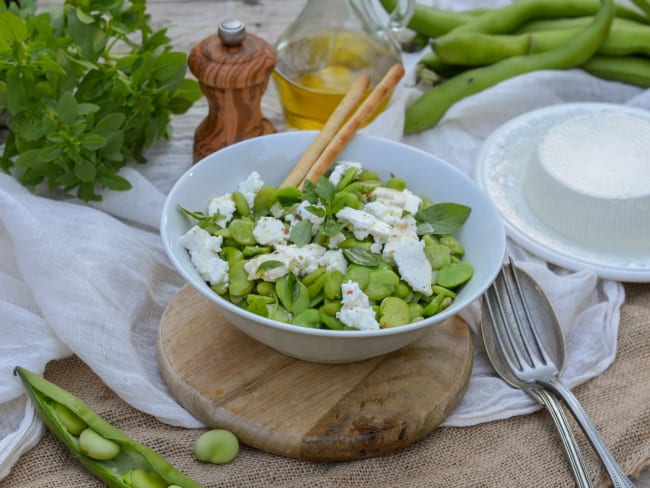 Salade de fèves, brousse de chèvre et basilic frais