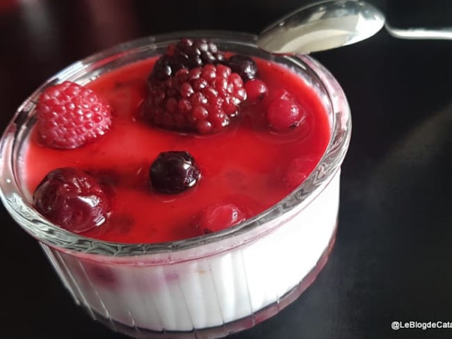 Panna cotta au lait de coco et aux fruits rouges