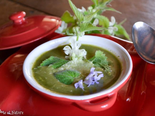 Soupe d'orties blanches