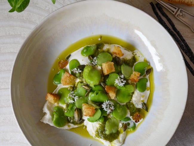 Burrata aux fèves, pesto et graines de courge