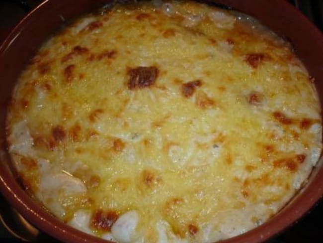 Gratin d'Endives au Bleu d'Auvergne