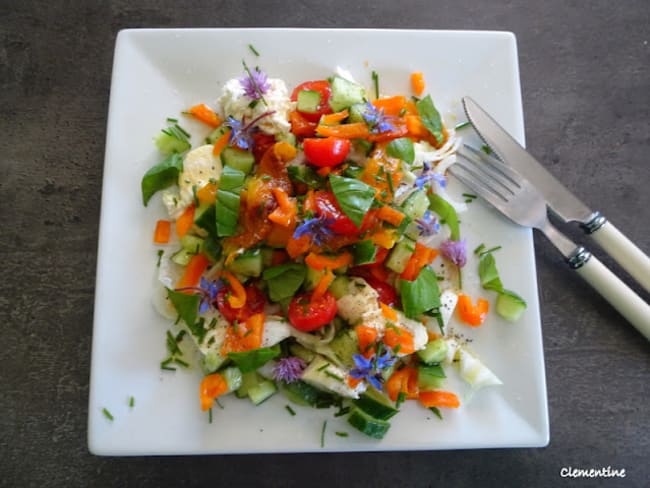 Salade d'été de toutes les couleurs et une astuce pour cultiver du basilic