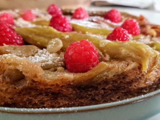 Financier géant ou gâteau à la rhubarbe