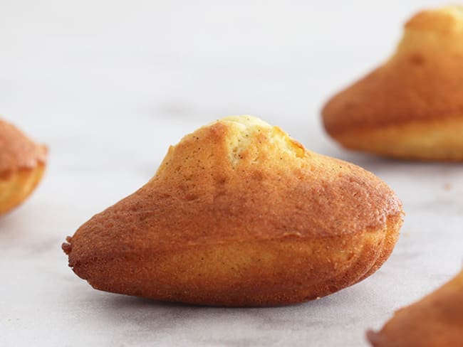 Madeleines à la vanille