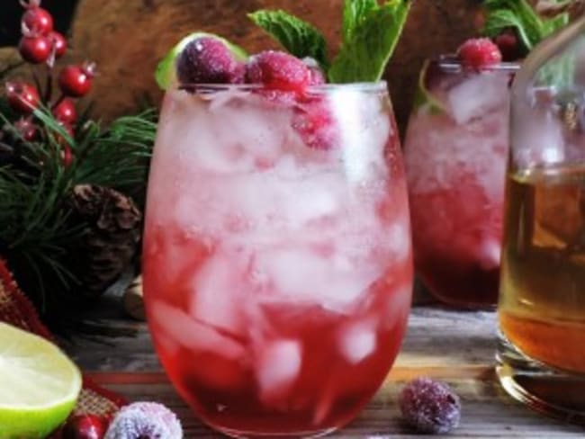 Cranberry Gin Fizz : une version de noël du Gin Fizz