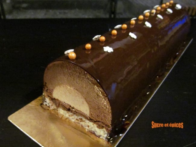 Bûche chocolat et praliné pour les fêtes