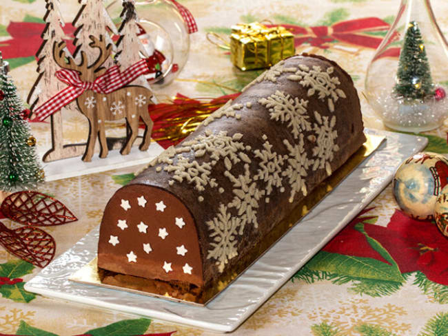 Bûche de noël au chocolat et à la framboise