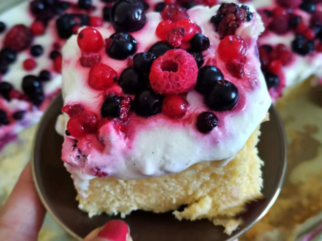 Gâteau mexicain au trois laits