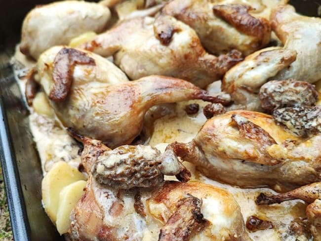 Cailles rôtis au vin jaune et morilles pour les fêtes