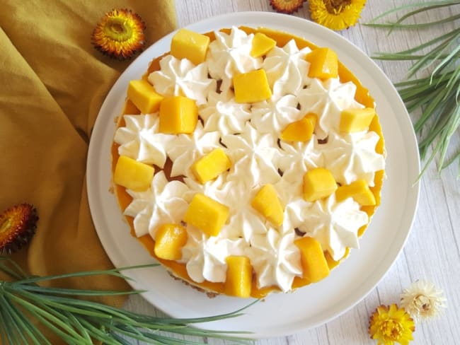 Cheesecake simple vanille mangue