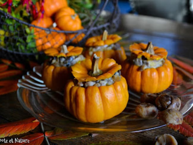 Courges Jack Little farcies aux champignons et aux châtaignes : vive l'automne !