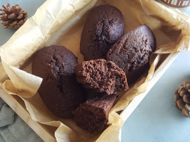 Gâteau façon madeleine au lait ribot et chocolat hyper moelleux !