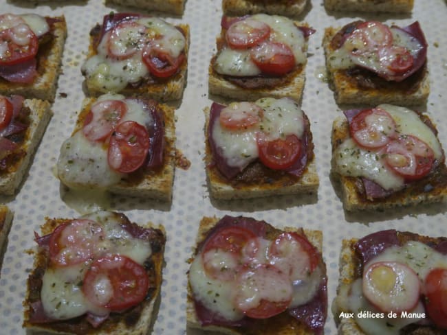 Toasts chauds à la coppa et fromage comté