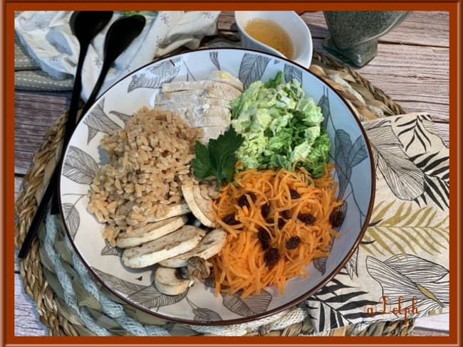 Bowl les restes de chou chinois, carotte et poulet
