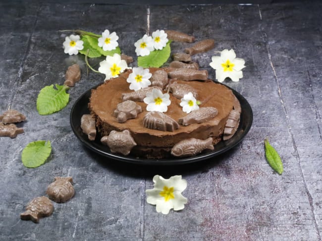 Gâteau tout chocolat