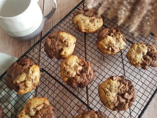 Cookies bi-goût au cacao