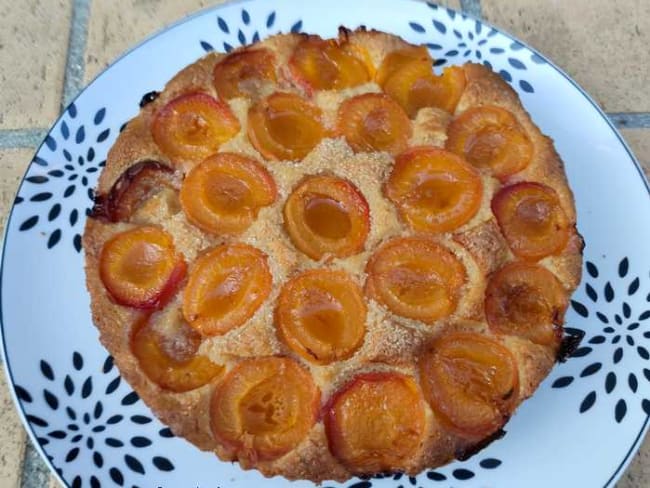 Fausse tarte aux abricots et poudre d'amande