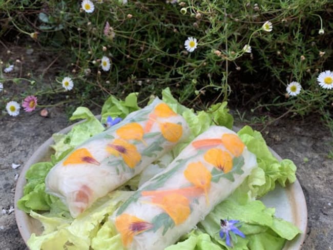 Rouleaux de printemps au crabe, crudités et salade roquette