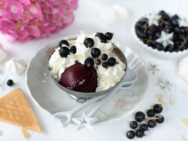 Coupe glacée : glace vanille et sorbet cassis