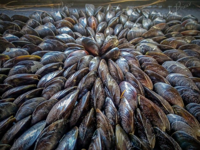 Eclade de moules pour changer des moules marinière