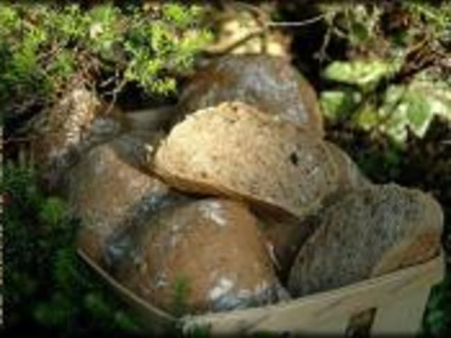 Petits Pains aux Céréales et Ciboulette