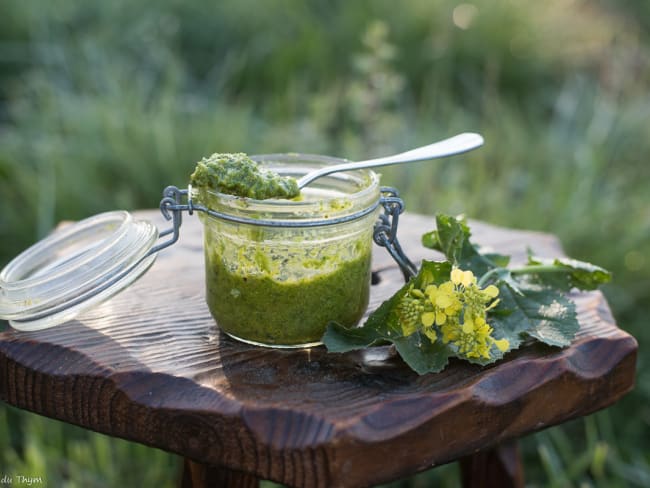 Pesto de fleurs de moutarde noire sauvage