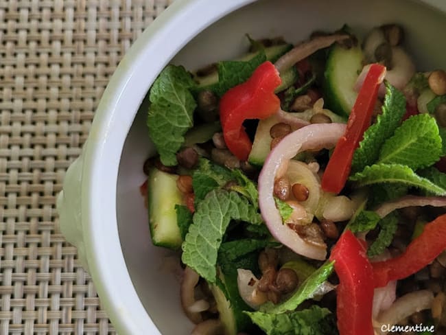 Salade de lentilles vertes du Puy